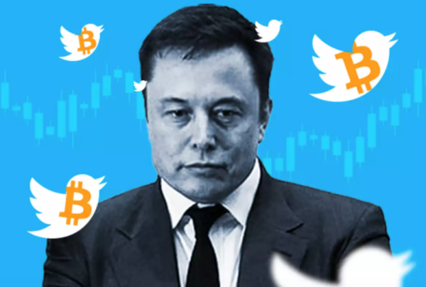 Individual investor, Elon Musk, and influence on Bitcoin