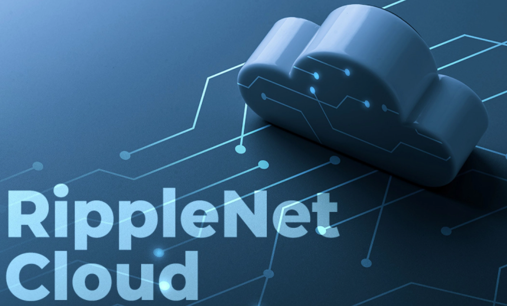 What is Ripple Net Cloud Solution?